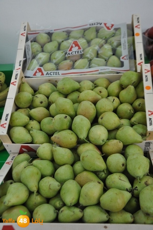 souq yaffa 0123 (23).JPG